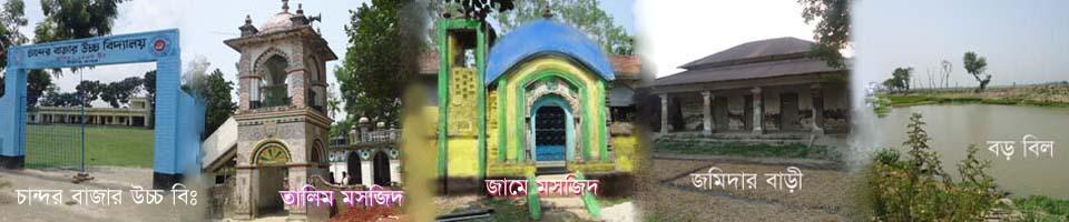 রায়পুর জমিদার বাড়ী ।