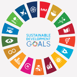 এসডিজি