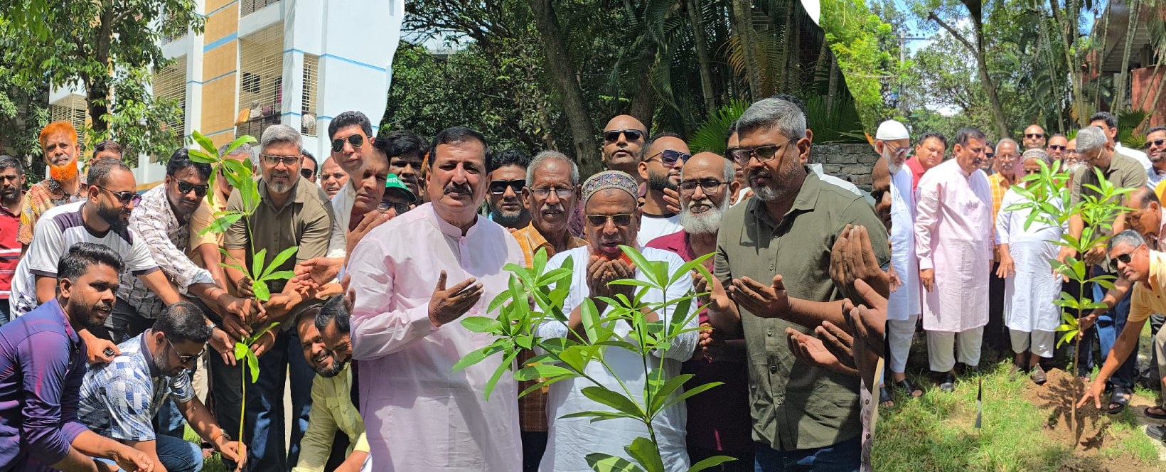 বৃক্ষরোপন কর্মসূচি