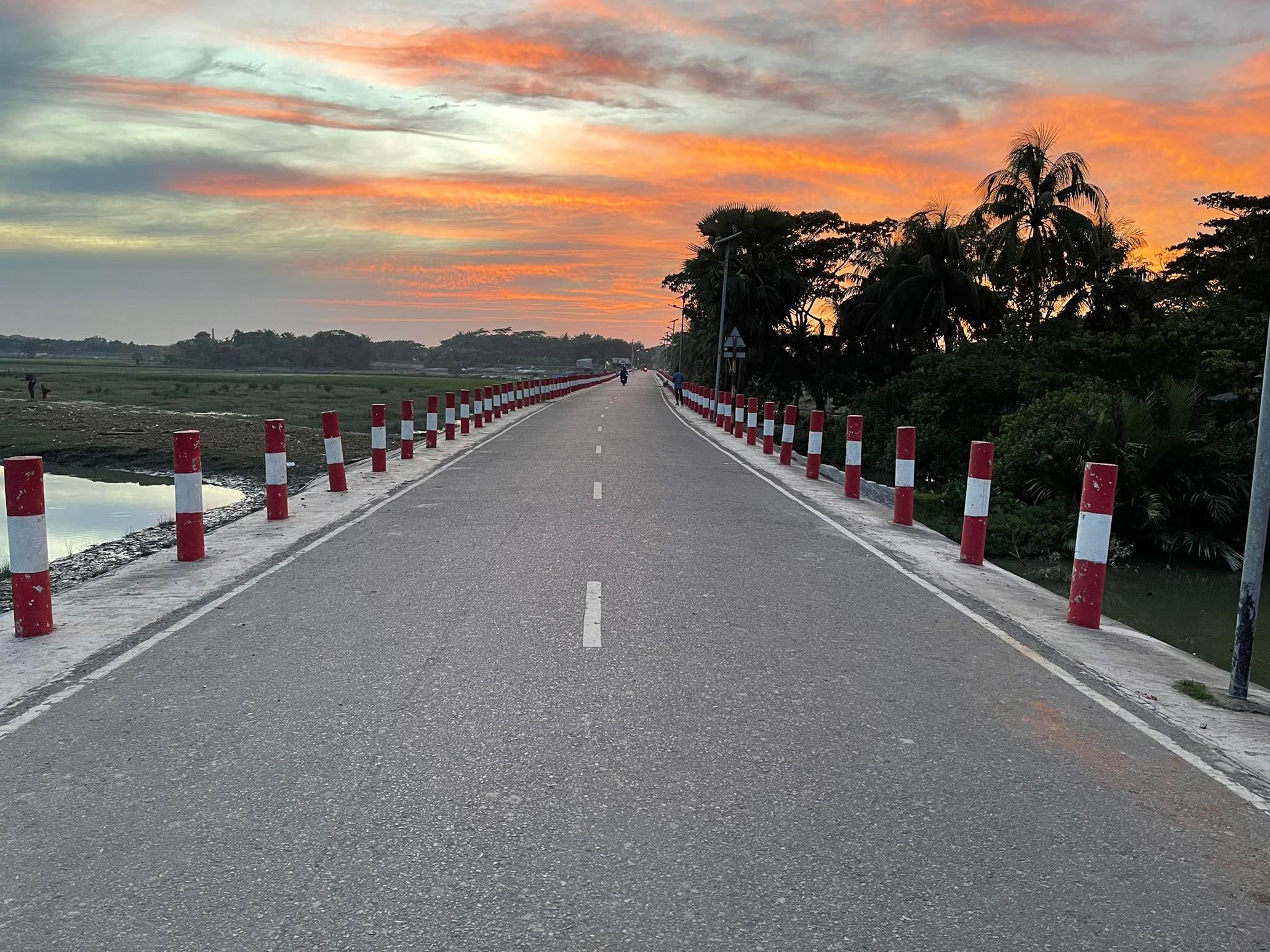 চরফাসন-বেতুয়া সড়ক