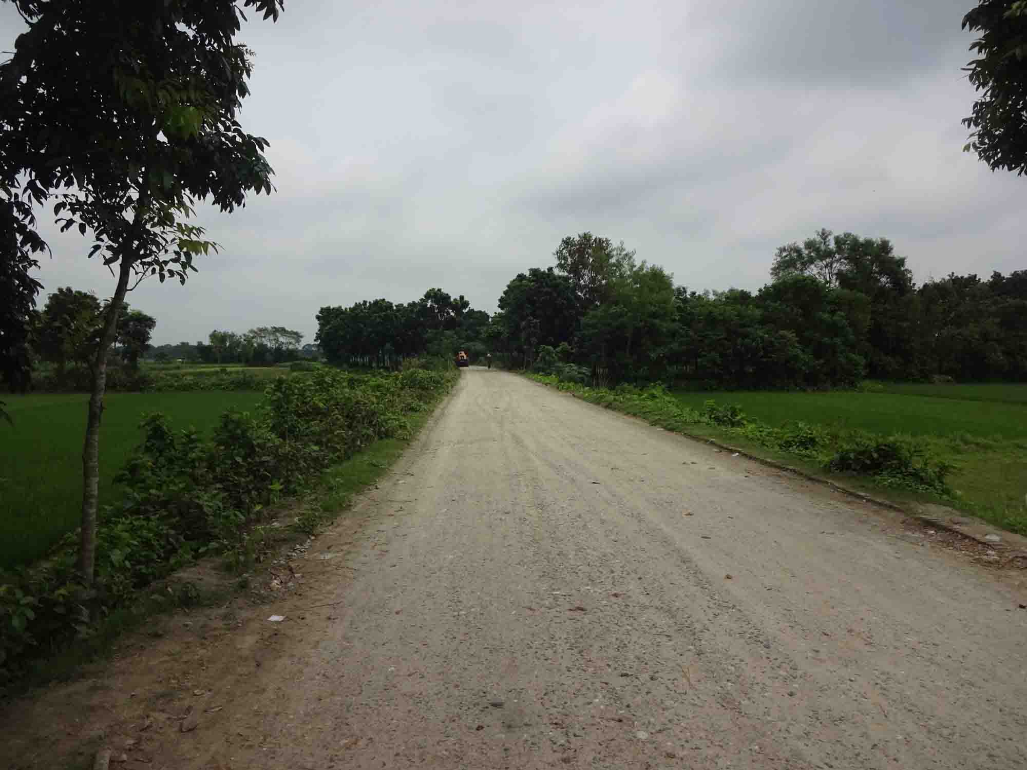 সদরপুর-হালসা রোড