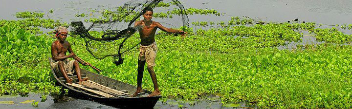 জীবিকার সন্ধানে