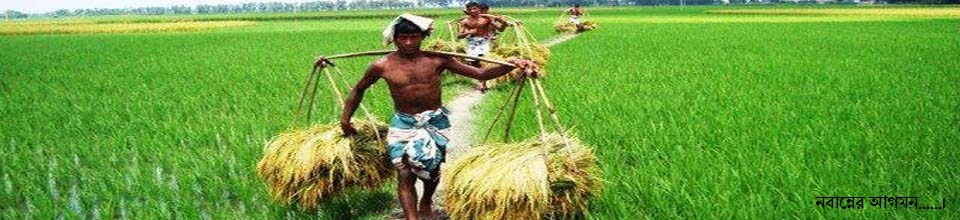 নবান্নের আগমন