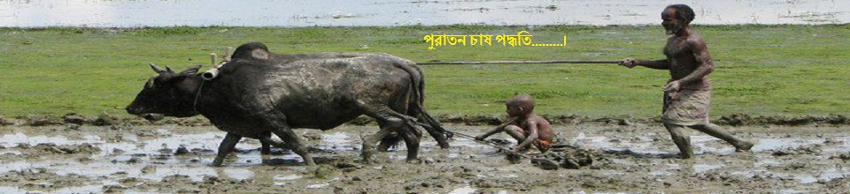 পুরাতন সেচ পদ্ধতি