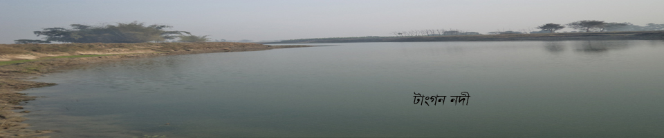 টাংগন নদী