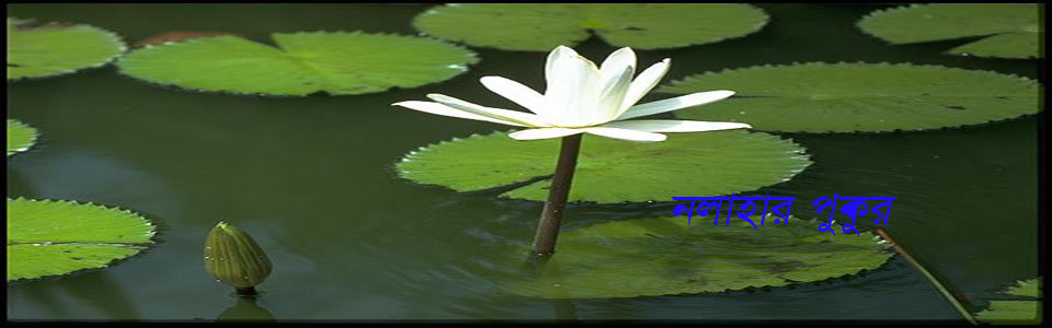 নলাহার পুকুর