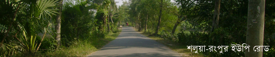 শলুয়া-রংপুর ইউপি রাস্তা (ইউআইডিপি)