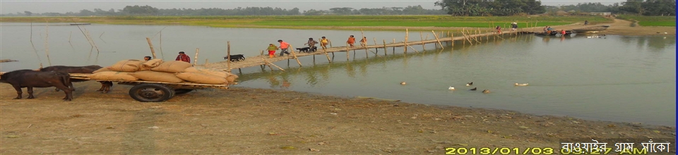 বাওয়াইর গ্রাম সাঁকো