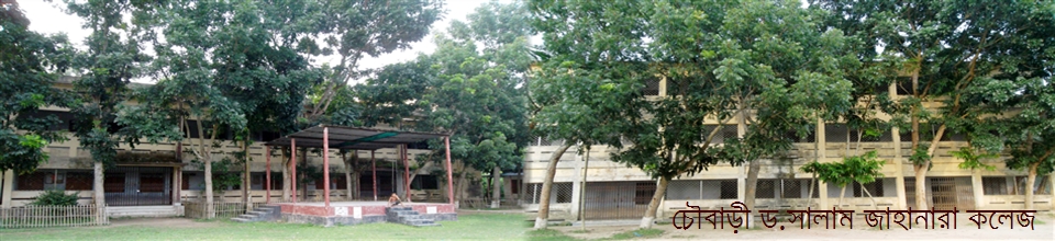 চৌবাড়ী ড.সালাম জাহানারা কলেজ