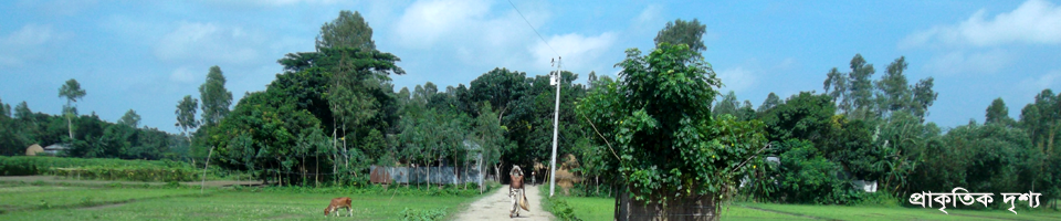 প্রাকৃতিক দৃশ্য