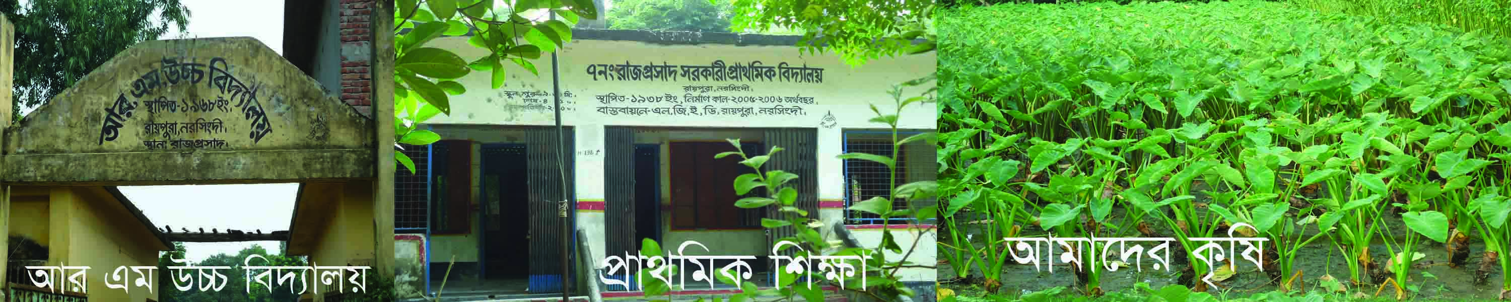 রায়পুরা ইউনিয়ন
