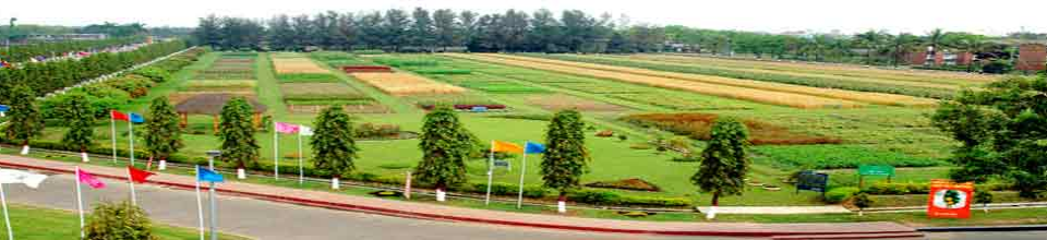 বিএআরআই প্রযুক্তি প্রদর্শনী