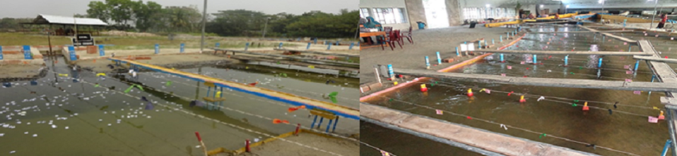 ভৌত মডেল