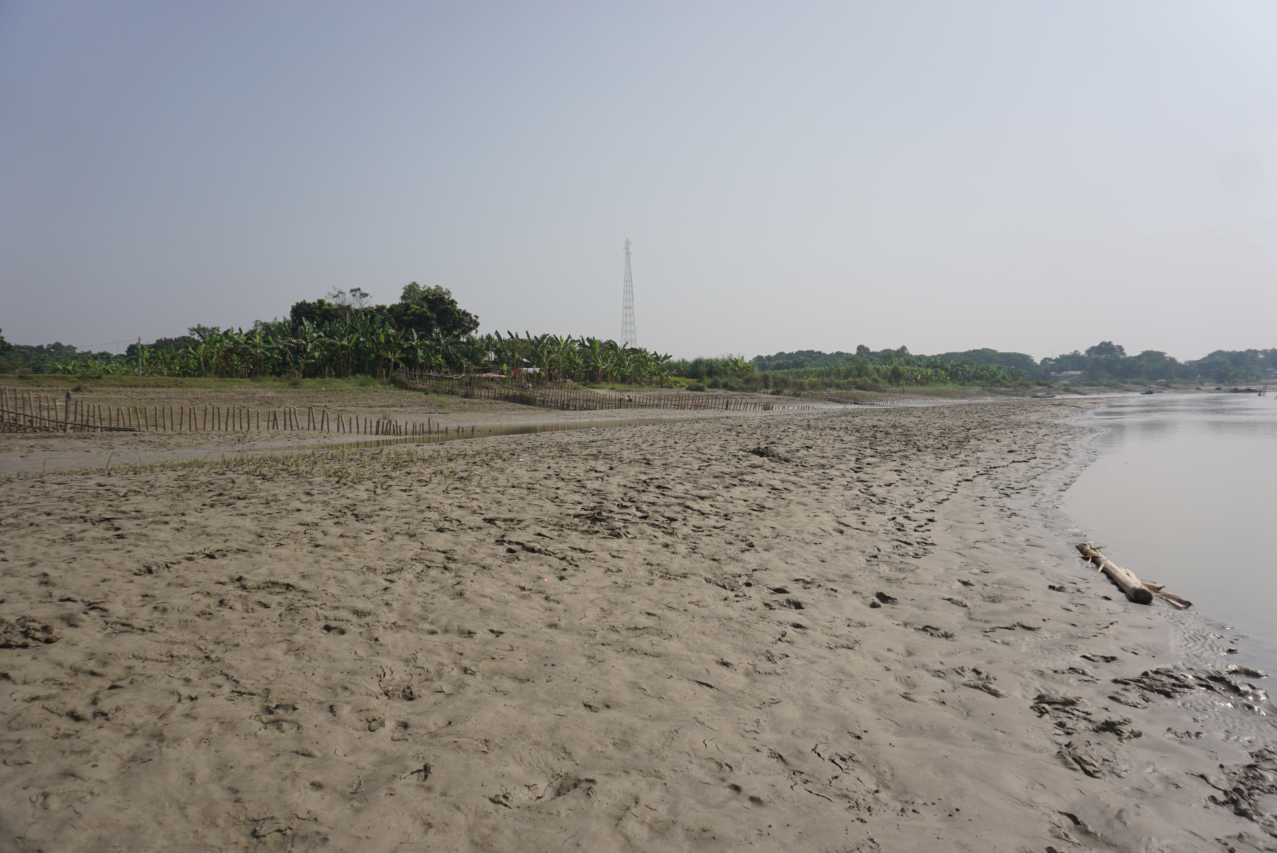 ব্যাম্বো ব্যান্ডেলিং