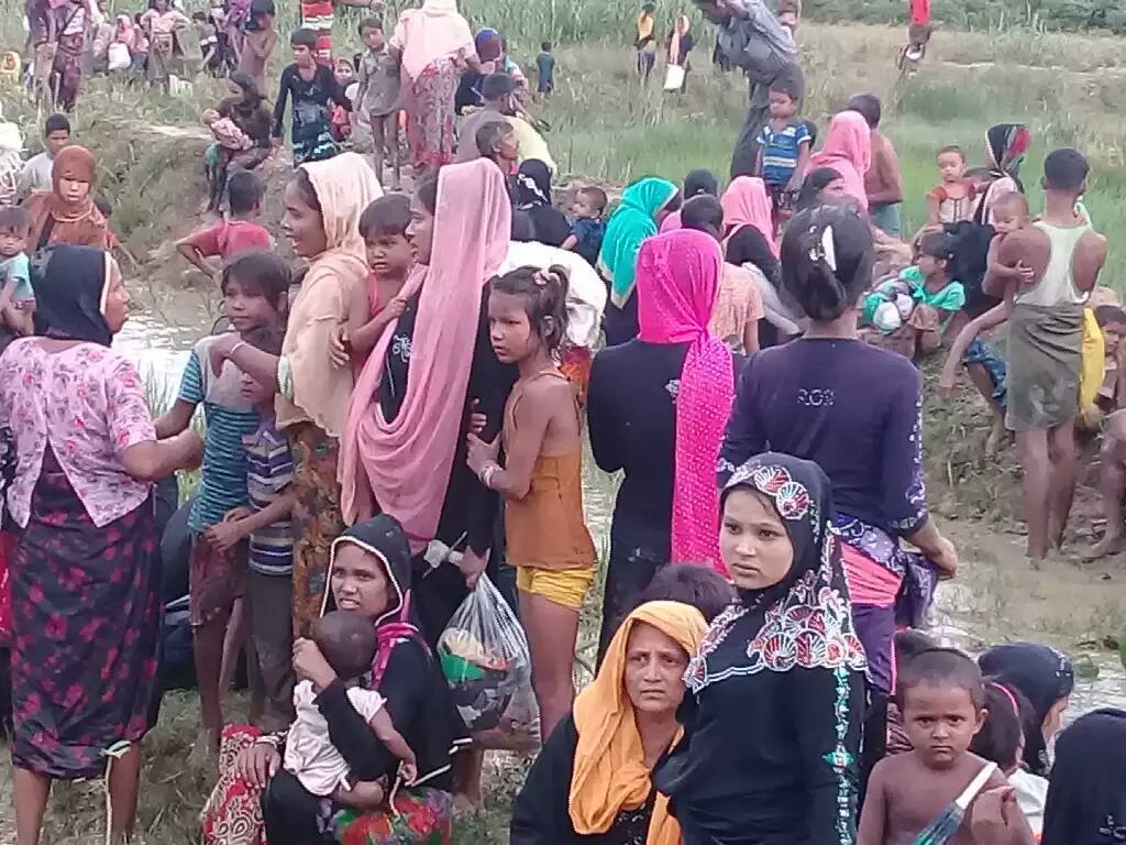 Rohingya