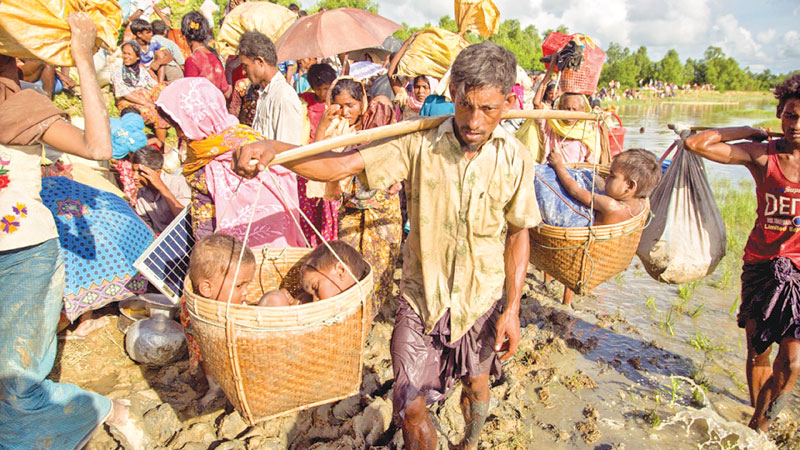 Rohingya