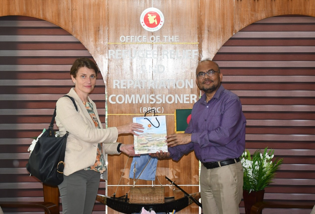 Gwyn Lewis, UN Resident Coordinator