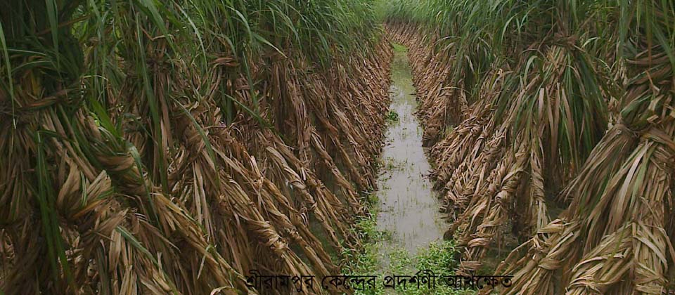 ব্যানার-২