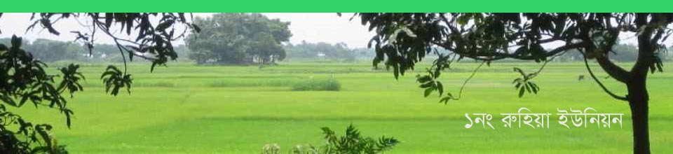 ১নং রুহিয়া ইউনিয়ন এর ছবি