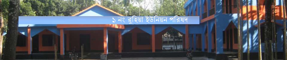 রুহিয়া ইউনিয়ন