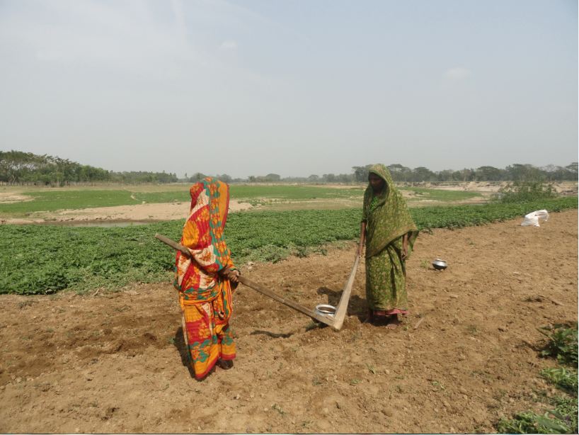 ফটোগ্যালারী