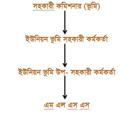 সাংগঠনিক কাঠামো