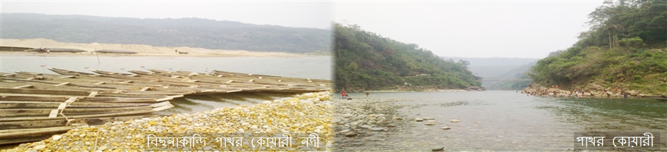 বিছনাকান্দি পিকনিক স্পট