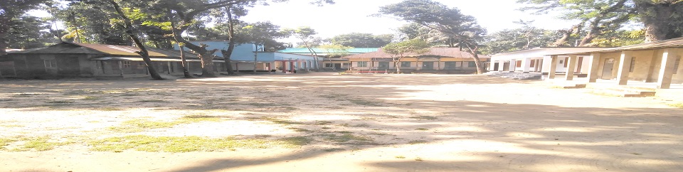 বিদ্যালয়ের ভবন