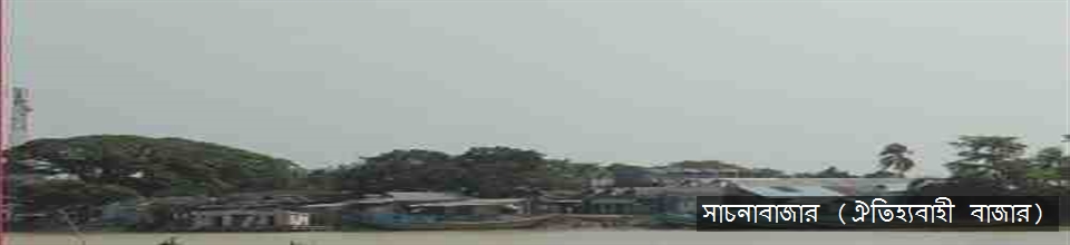 সাচনাবাজার