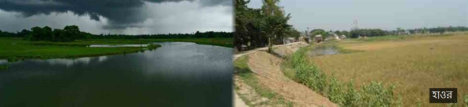 হাওর