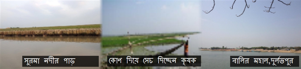 সুরমা নদীর পাড়,কোণ দিয়ে সেচ দিচ্ছেন কৃষক ও বালির মহাল,দুর্লভপুর।