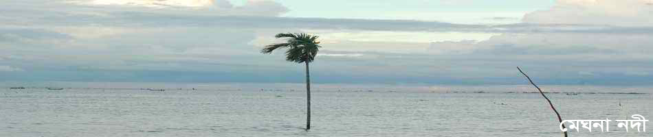 তুলাতুলি মেঘনা নদীর পাড় ভোলা