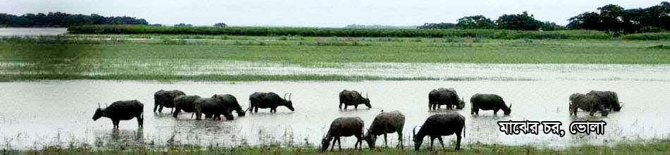 মাঝের চর ভোলা