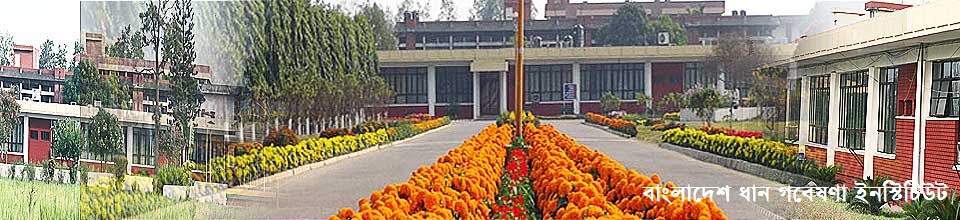 বাঙলাদেশ ধান গবেষণা ইনস্টিটিউট