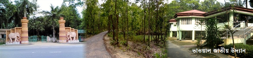 ভাওয়াল জাতীয় উদ্যান