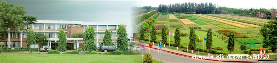 বাংলাদেশ কৃষি গবেষণা ইনস্টিটিউট