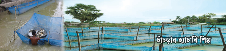 চাঁচড়া হ্যাচারি শিল্প