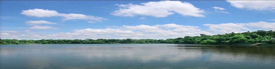 দালাল বাজার খোয়াসাগর দিঘী