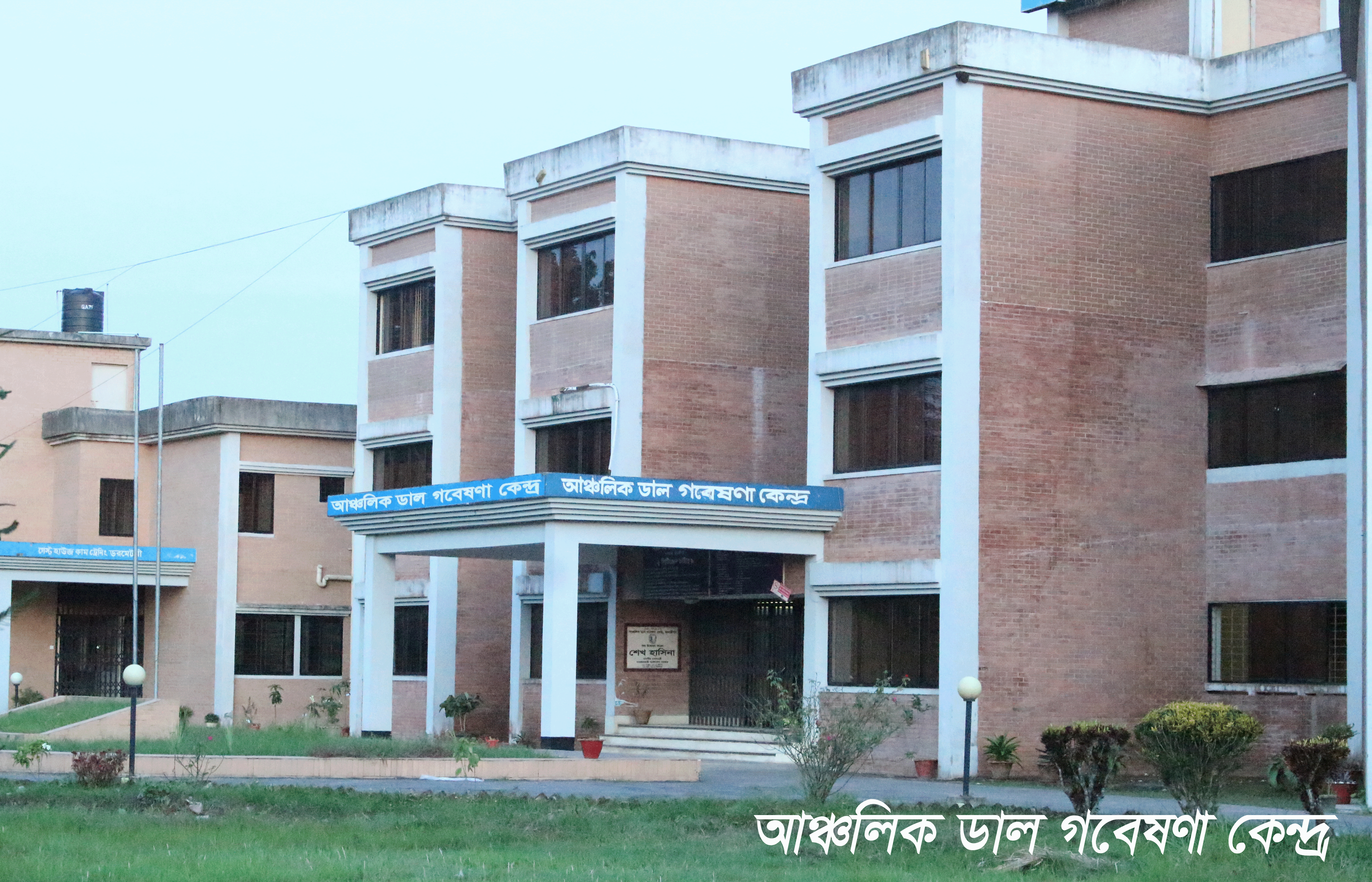 আঞ্চলিক ডাল গবেষণা কেন্দ্র