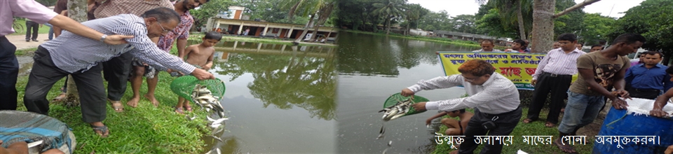 উন্মুক্ত জলাশয়ে মাছের পোনা অবমুক্তকরন।