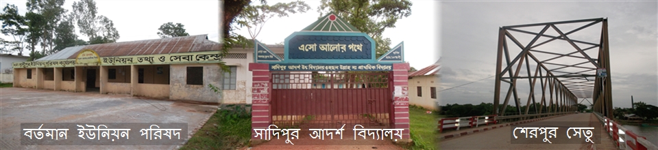 সাদিপুর আদর্শ উচ্চ বিদ্যালয়/ শেরপুর সেতু/