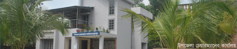 উপজেলা চেয়ারম্যানের কার্যালয়