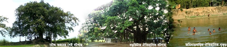 সদ্যপুস্কুরিনী বড়ভিটা, চোদ্দ ভবনের বটগাছ, জমিদাড় বাড়ির দিঘি