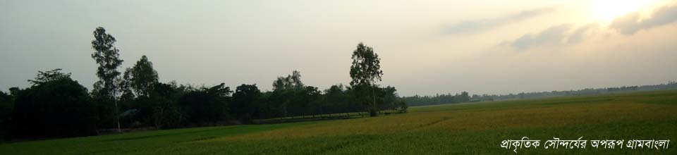 গ্রাম বাংলার অপরূপ দৃশ্য