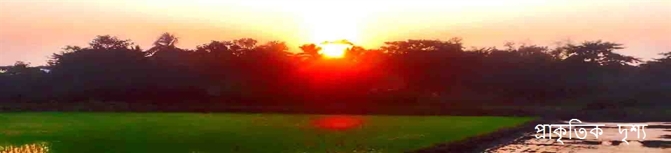 প্রকৃতির দৃশ্য