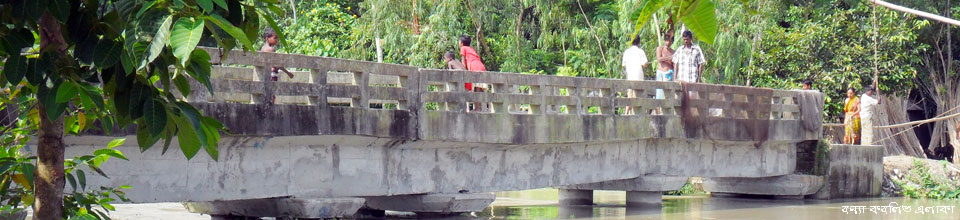 বন্যার ভয়াবহ অবস্থা