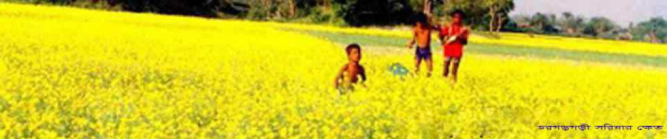 ব্যানার