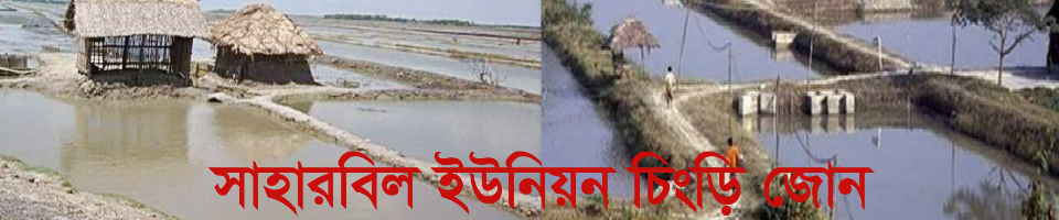 চিংড়ি জোন