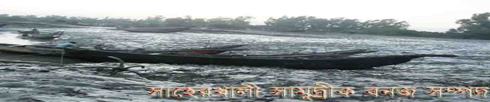 সমুদ্র সৈকত