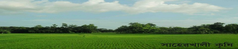কৃষি